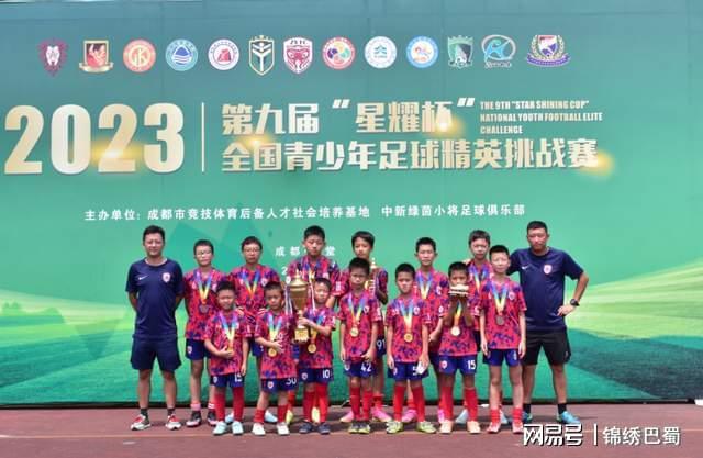关于青少年足球锦标赛总决赛，年轻球员们为荣誉奋战的信息