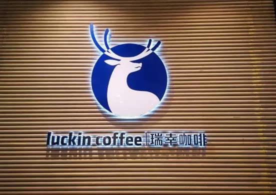 宁波明日小牛攻势不减，球队信心倍增